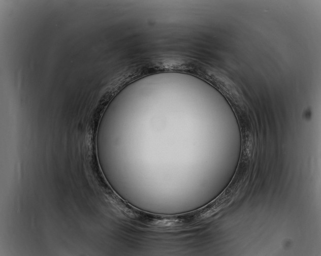 X0000100850461200806200806