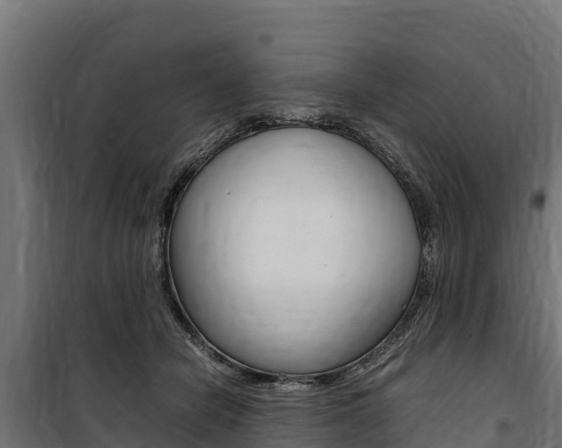 X0000100850462200806200806