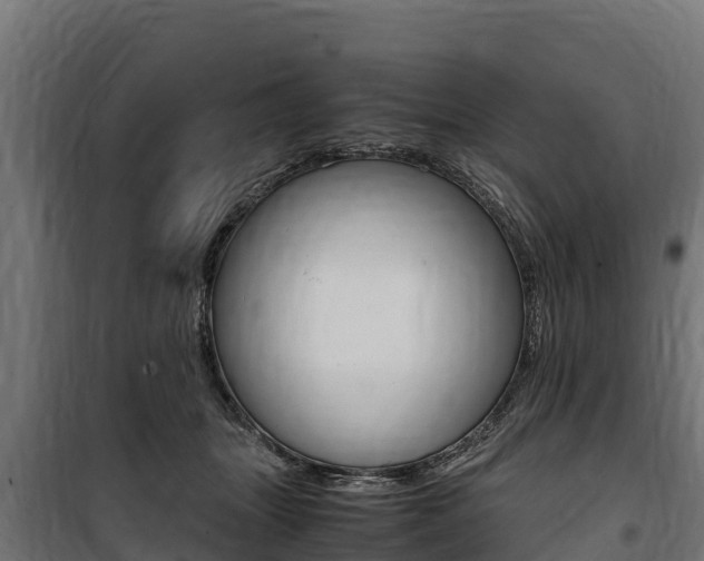 X0000100850463200806200806