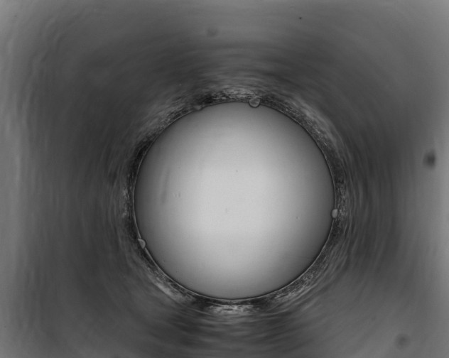 X0000100850465200806200806