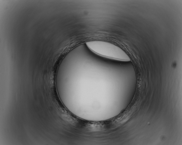 X0000100850466200806200806