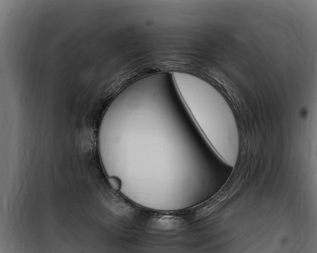 X0000100850467200806200806