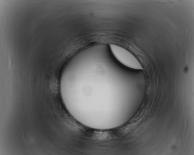 X0000100850469200806200806