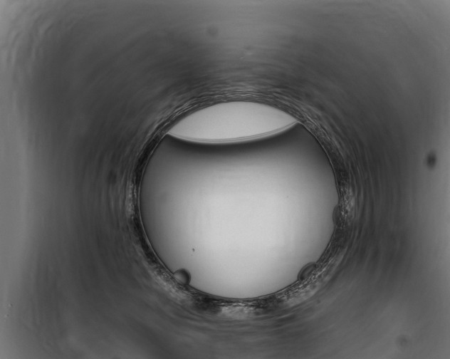 X0000100850470200806200806