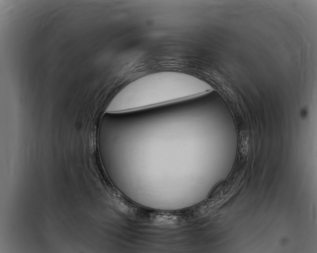 X0000100850471200806200806