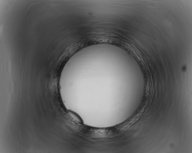 X0000100850473200806200806