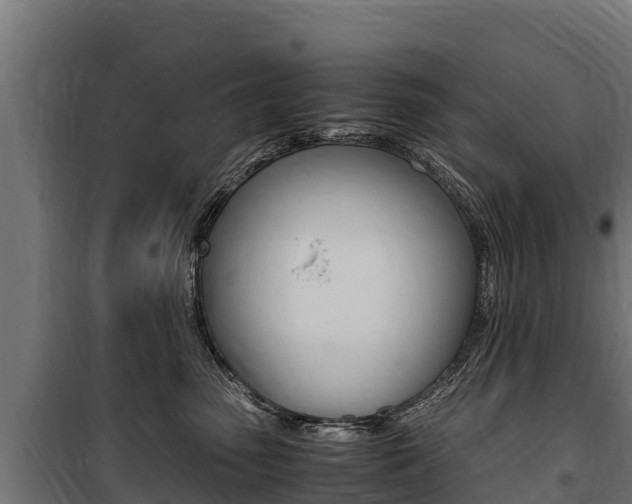 X0000100850475200806200806