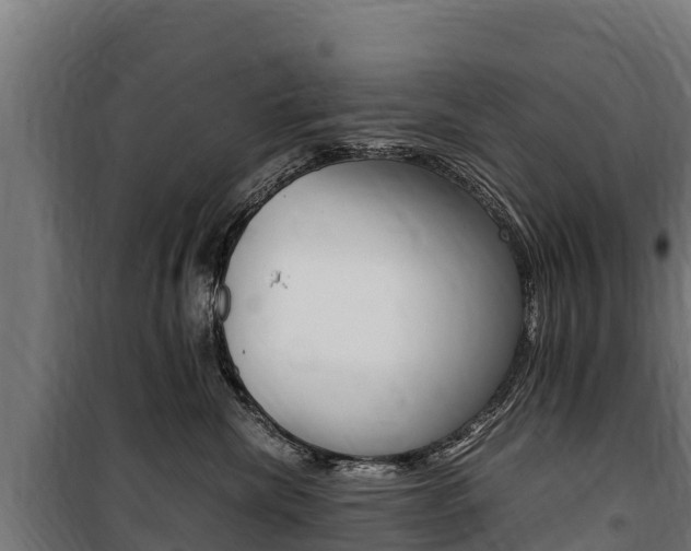 X0000100850476200806200806