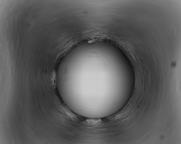 X0000100850480200806200806