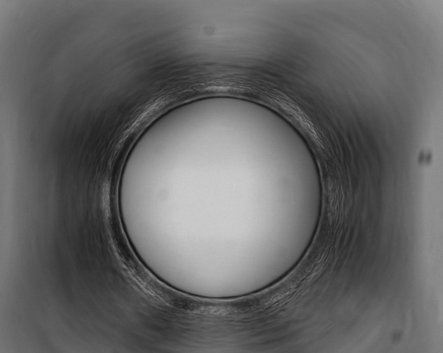 X0000100850482200806200805