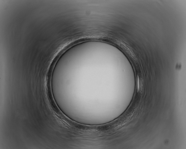 X0000100850483200806200805