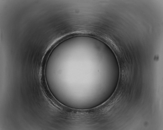 X0000100850484200806200805