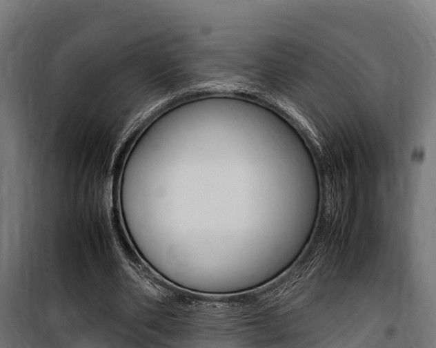 X0000100850486200806200805