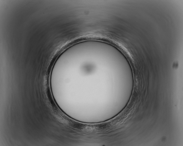 X0000100850487200806200805