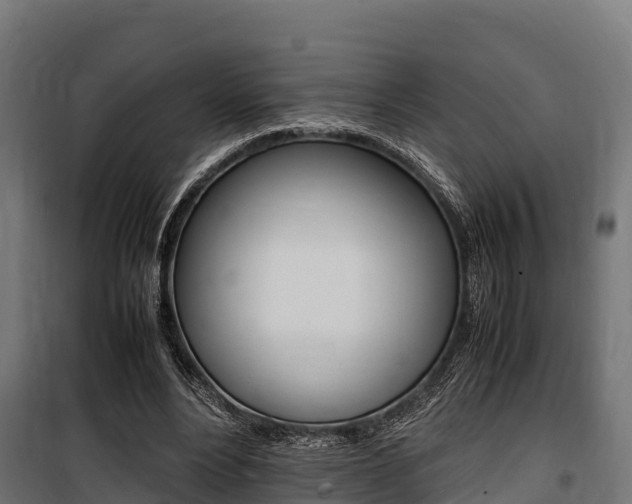 X0000100850488200806200805