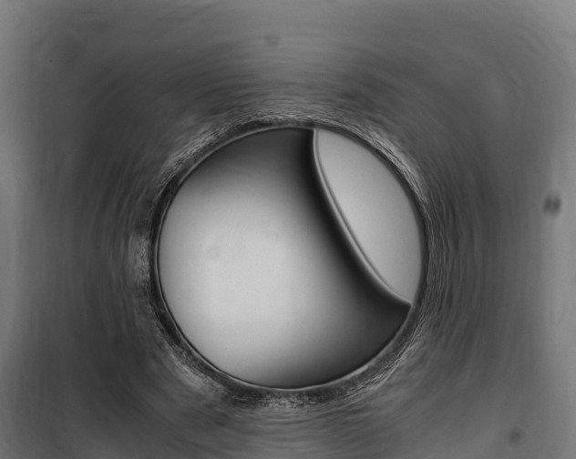 X0000100850489200806200805