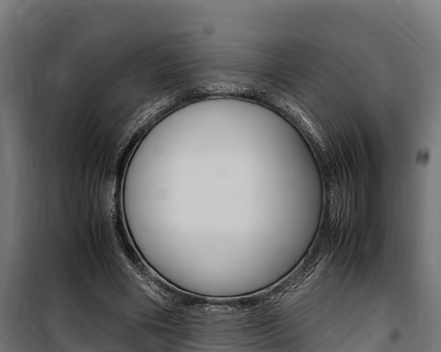X0000100850490200806200805