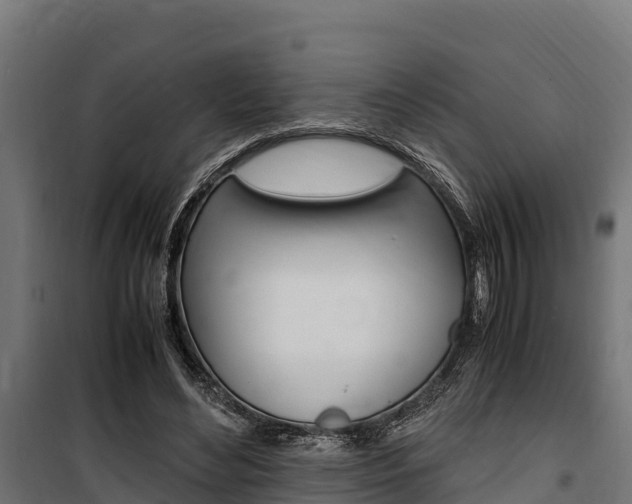 X0000100850492200806200805