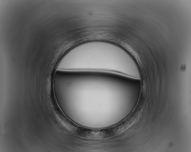 X0000100850493200806200805