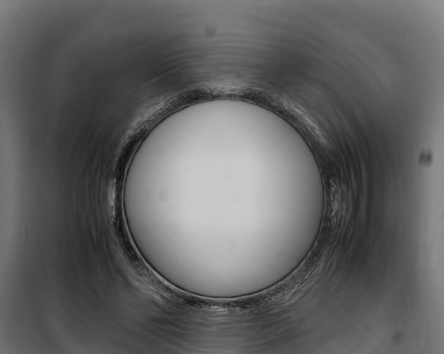 X0000100850494200806200805