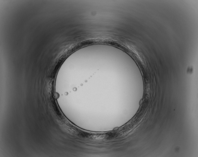 X0000100850495200806200805