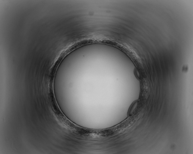 X0000100850496200806200805