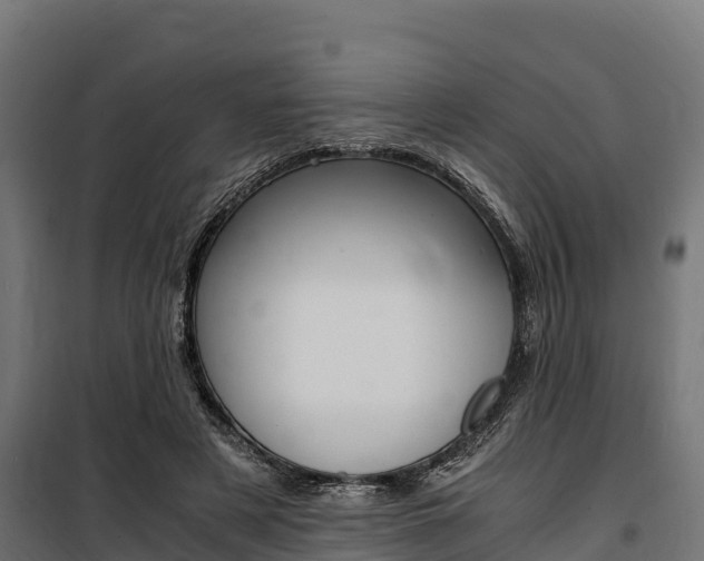 X0000100850497200806200805