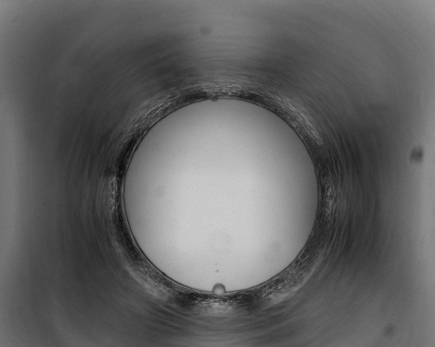 X0000100850498200806200805