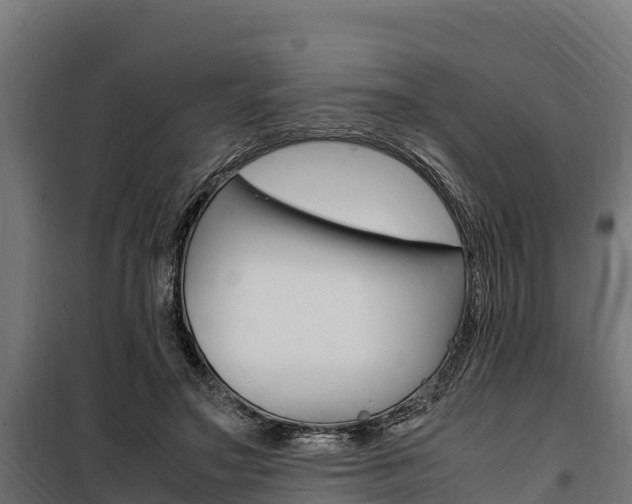 X0000100850499200806200805
