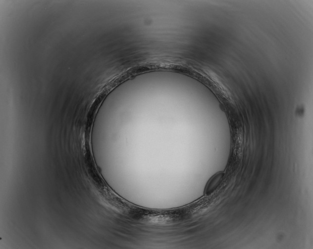 X0000100850500200806200805