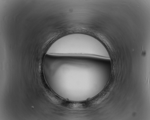 X0000100850501200806200805
