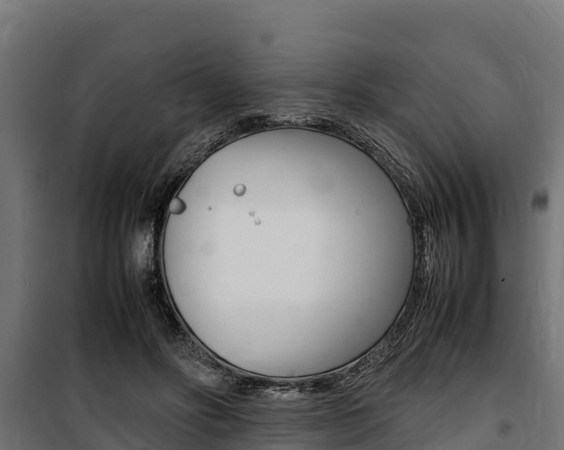 X0000100850502200806200805