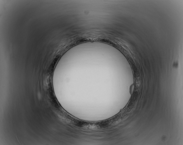 X0000100850503200806200805