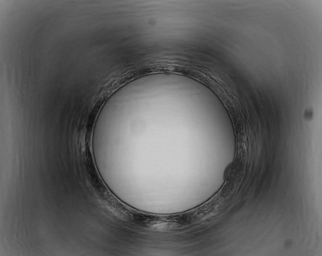 X0000100850504200806200805