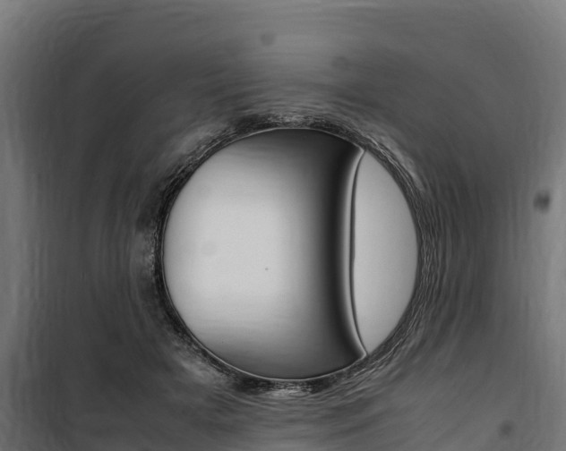 X0000100850505200806200805