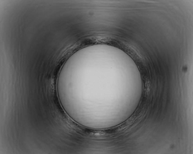 X0000100850506200806200805