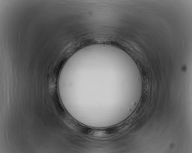 X0000100850507200806200805