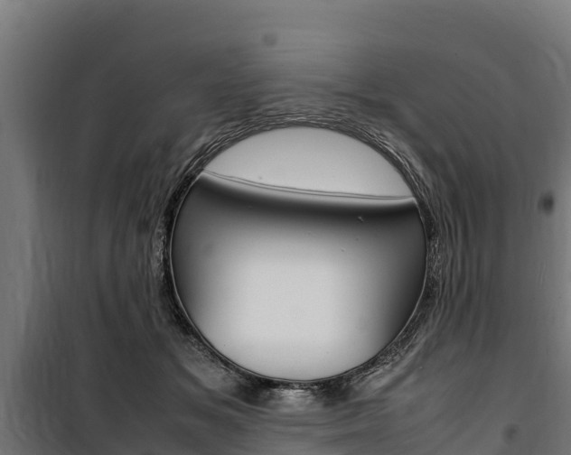 X0000100850509200806200805