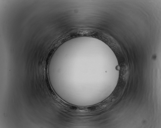 X0000100850510200806200805