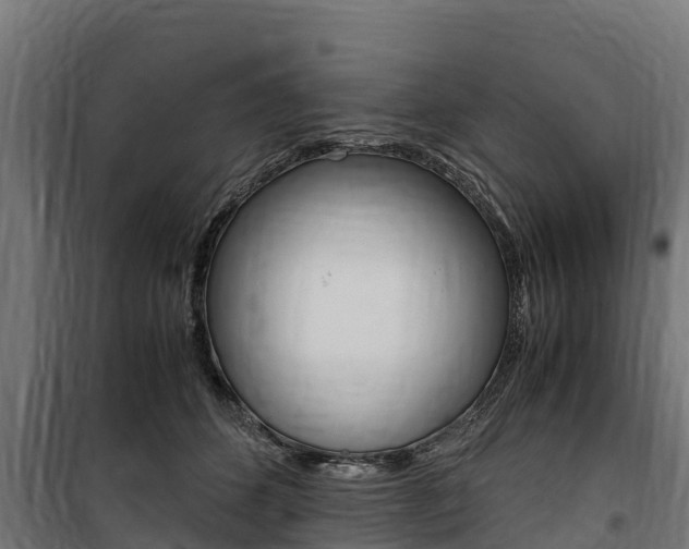 X0000100850512200806200805