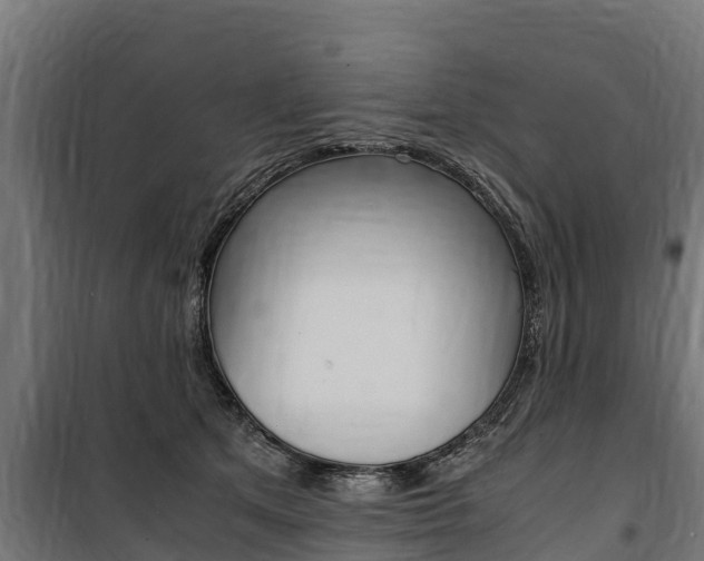 X0000100850513200806200805