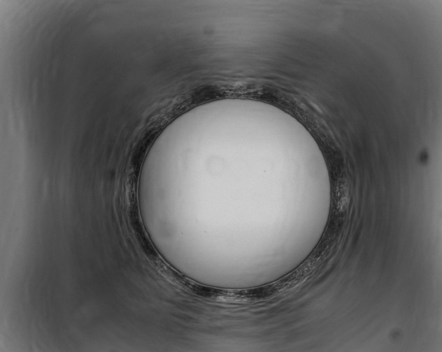 X0000100850515200806200805