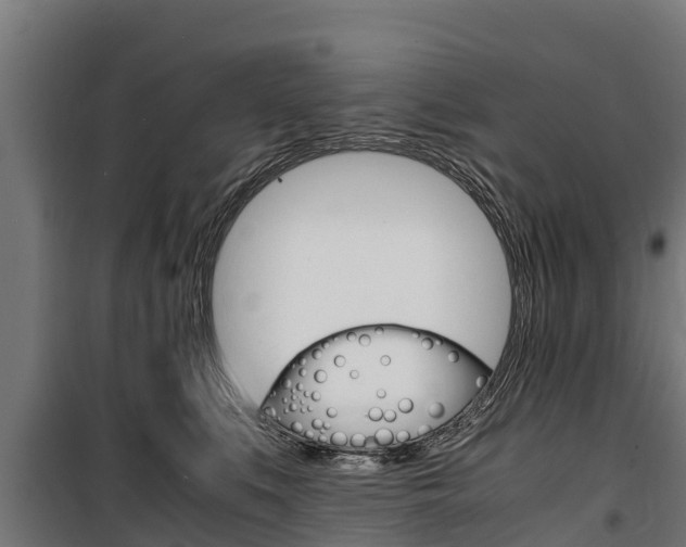 X0000100850519200806200805