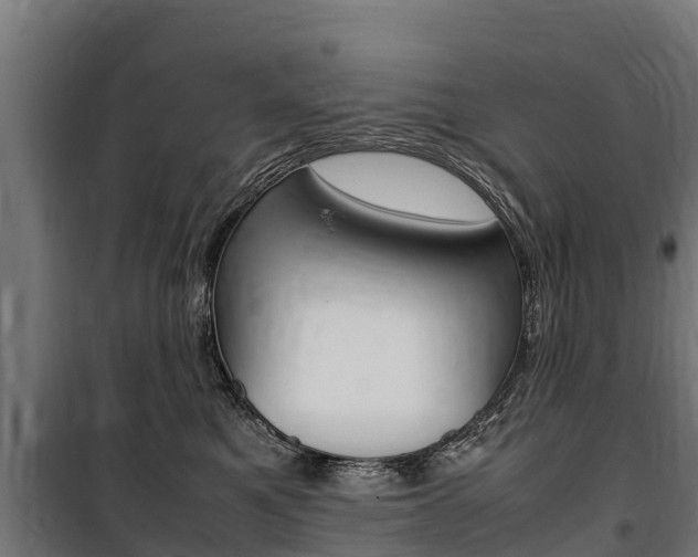 X0000100850521200806200805