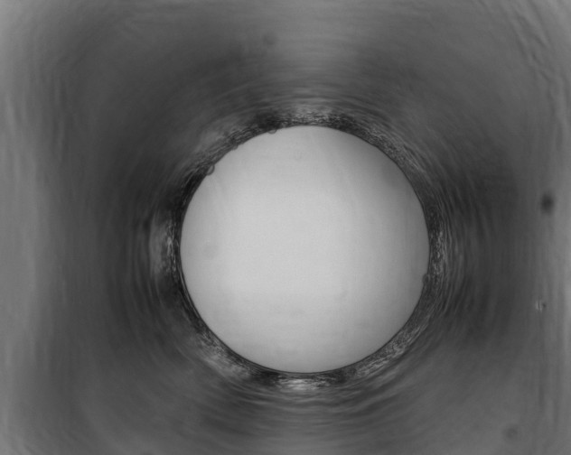 X0000100850522200806200805