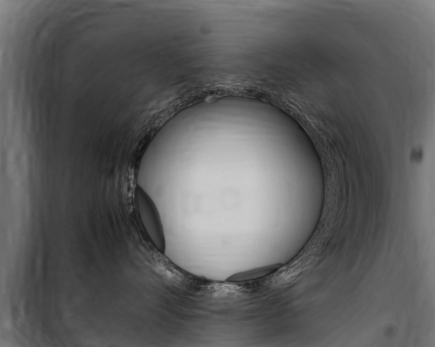 X0000100850528200806200805