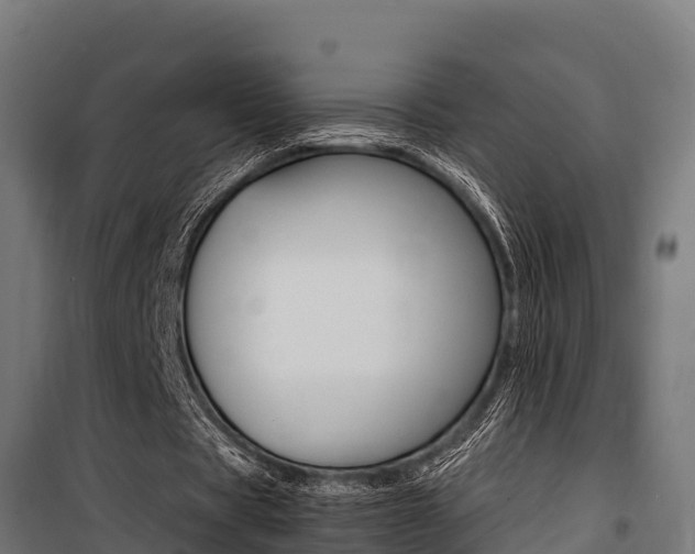 X0000100850529200806200804