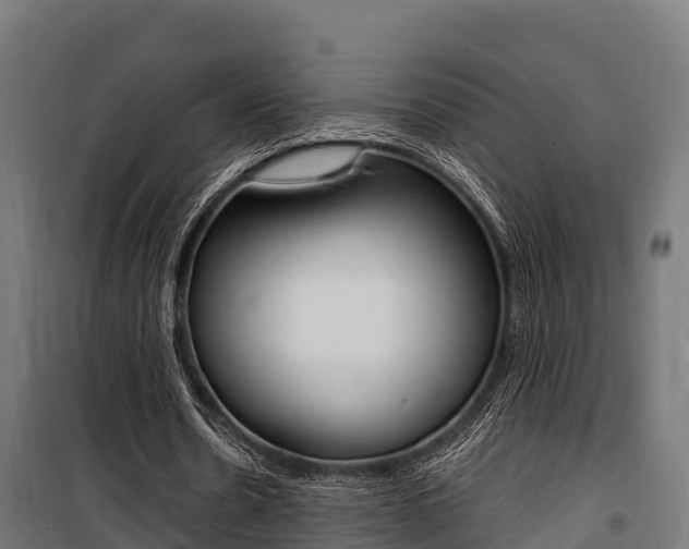 X0000100850530200806200804