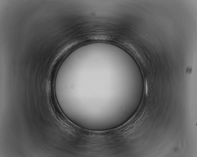 X0000100850531200806200804