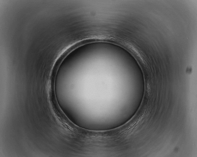 X0000100850532200806200804